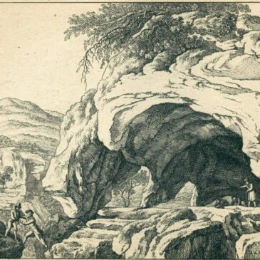 Was hat die Geologie mit der Pflanzenkunde zu tun?