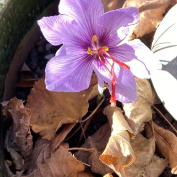 Kleine Runderneuerung…