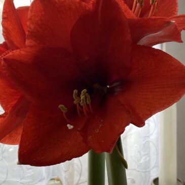 Willkommen im Jahr 2026