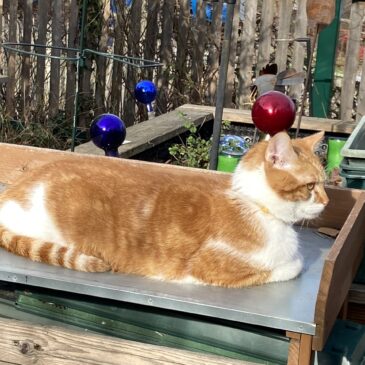 Uff! Zeit zum Durchschnaufen…